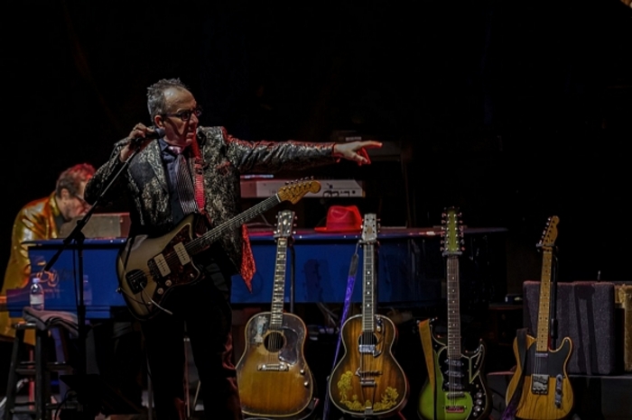 Elvis Costello - Photoscapes
