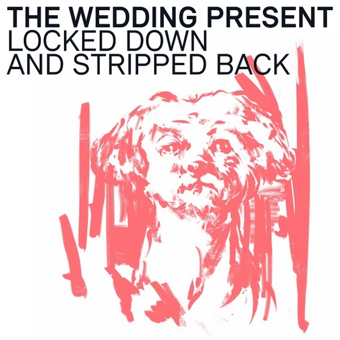 Wedding Present - Interview
