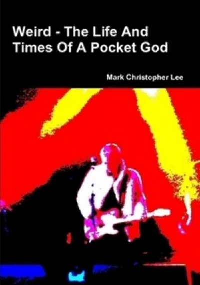 Pocket Gods - Interview