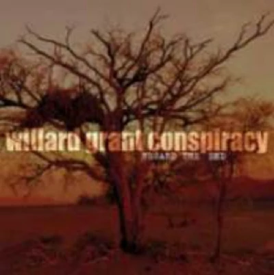 Willard Grant Conspiracy - Interview with Robert Fisher