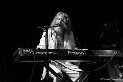 Hothouse Flowers - Photoscapes