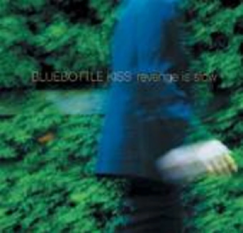 Bluebottle Kiss - Interview