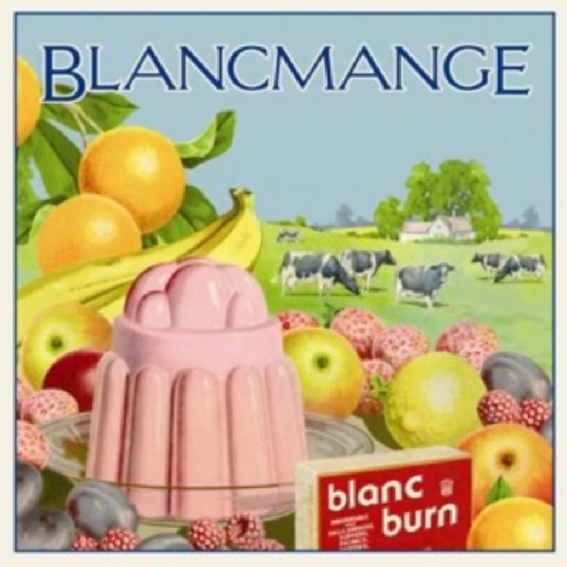 Blancmange - Interview