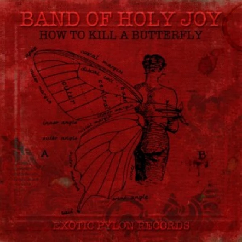 Band Of Holy Joy - Interview