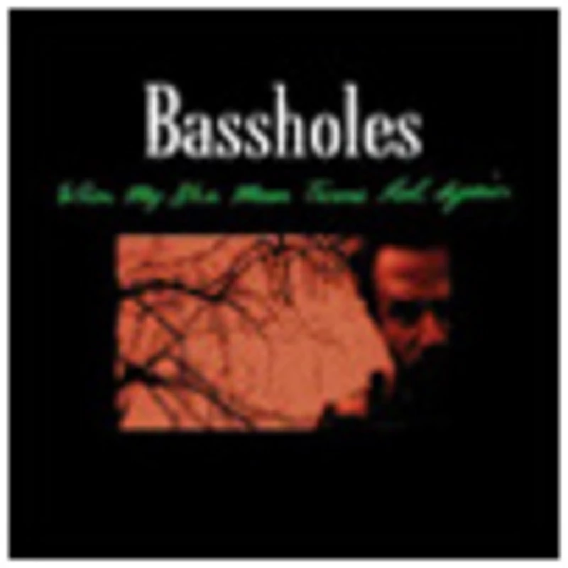 Bassholes - Profile