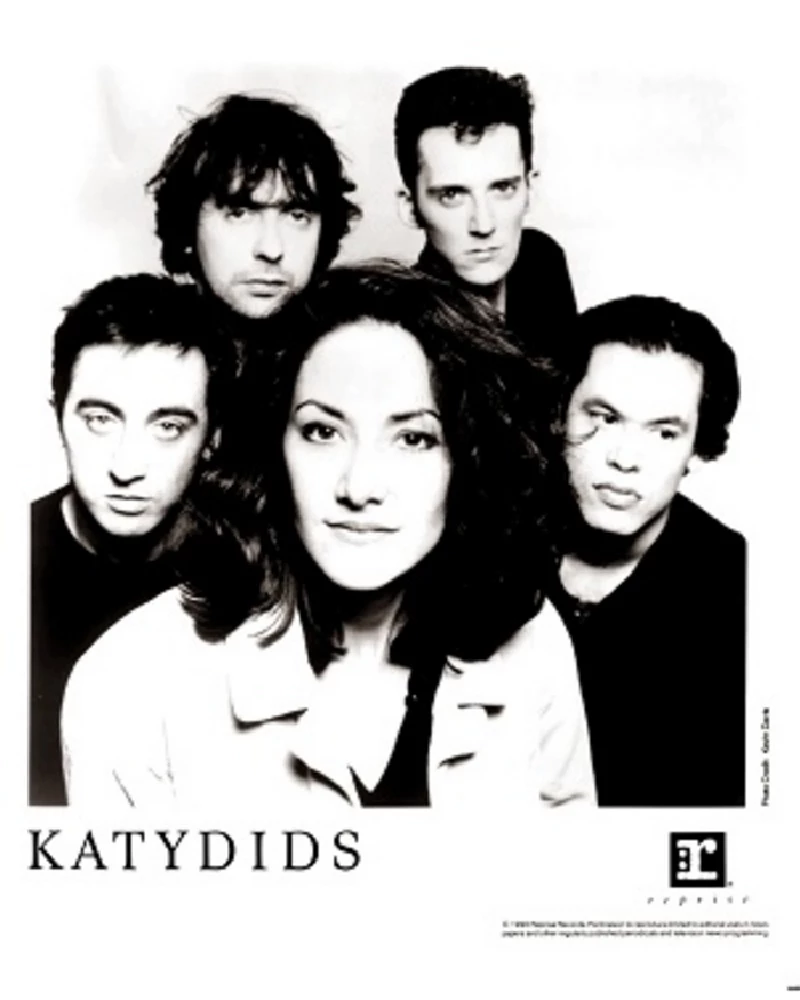 Katydids - Profile