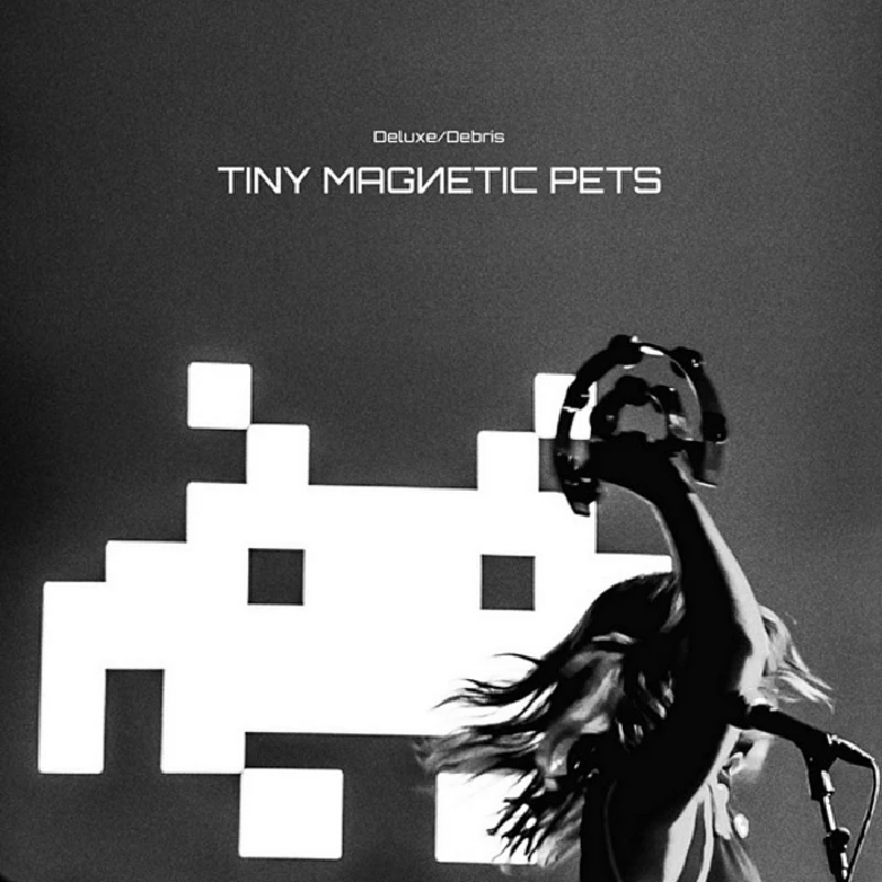 Tiny Magnetic Pets - Interview