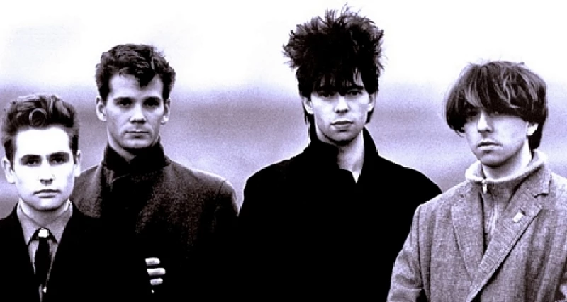 Echo And The Bunnymen - Ten Songs That Made Me Love...