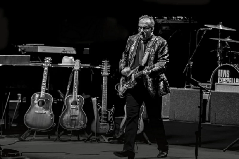 Elvis Costello - Photoscapes
