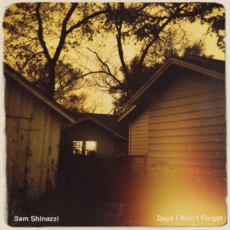 Sam Shinazzi - Days I Won't Forget