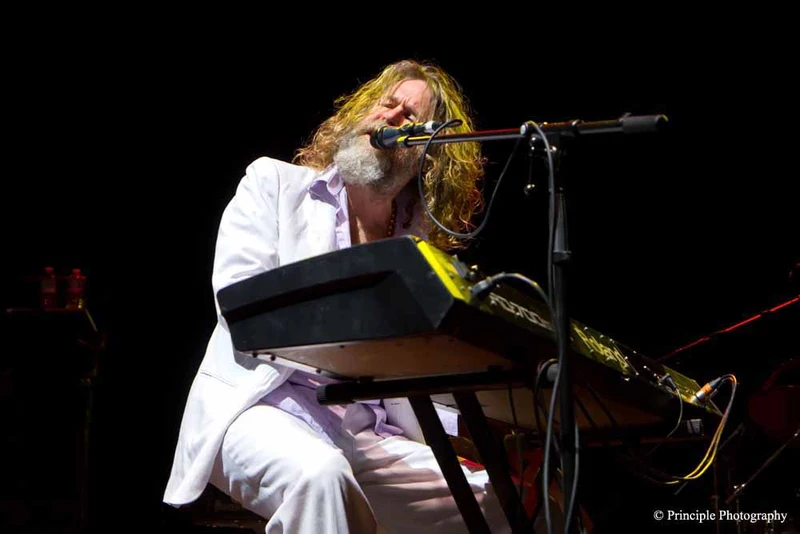 Hothouse Flowers - Photoscapes