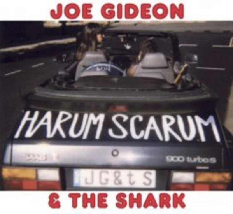Joe Gideon and the Shark - Interview