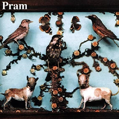 Pram - Museum Of Imaginary Animals