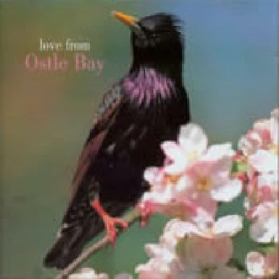 Ostle Bay - Love From Ostle Bay