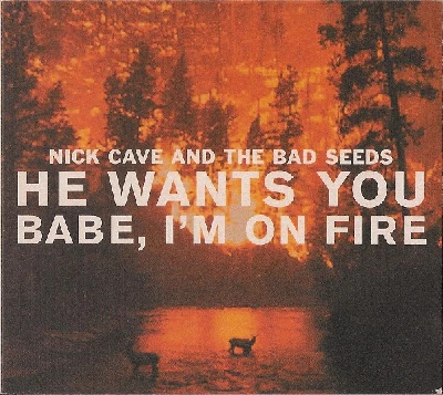 Nick Cave And The Bad Seeds - He Wants You Babe / Babe Im On Fire