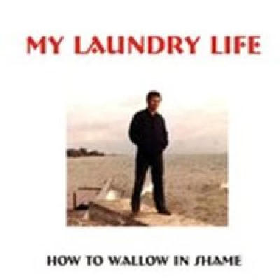 My Laundry Life - How to Wallow in Shame