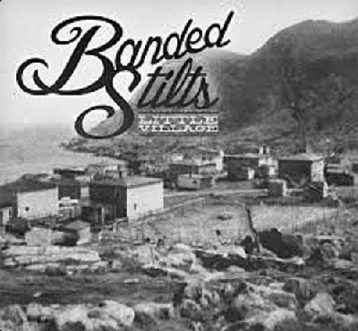 Banded Stilts - Little Village