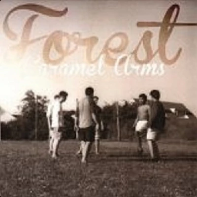 Forest - Caramel Arms