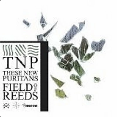 These New Puritans - Field of Reeds