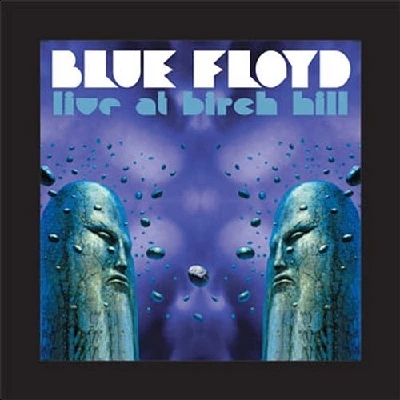 Blue Floyd - Live at Birch Hill