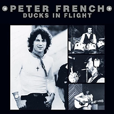 Peter French - Ducks in Flight