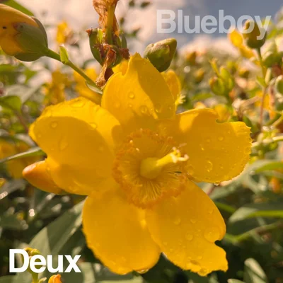 Blueboy - 2