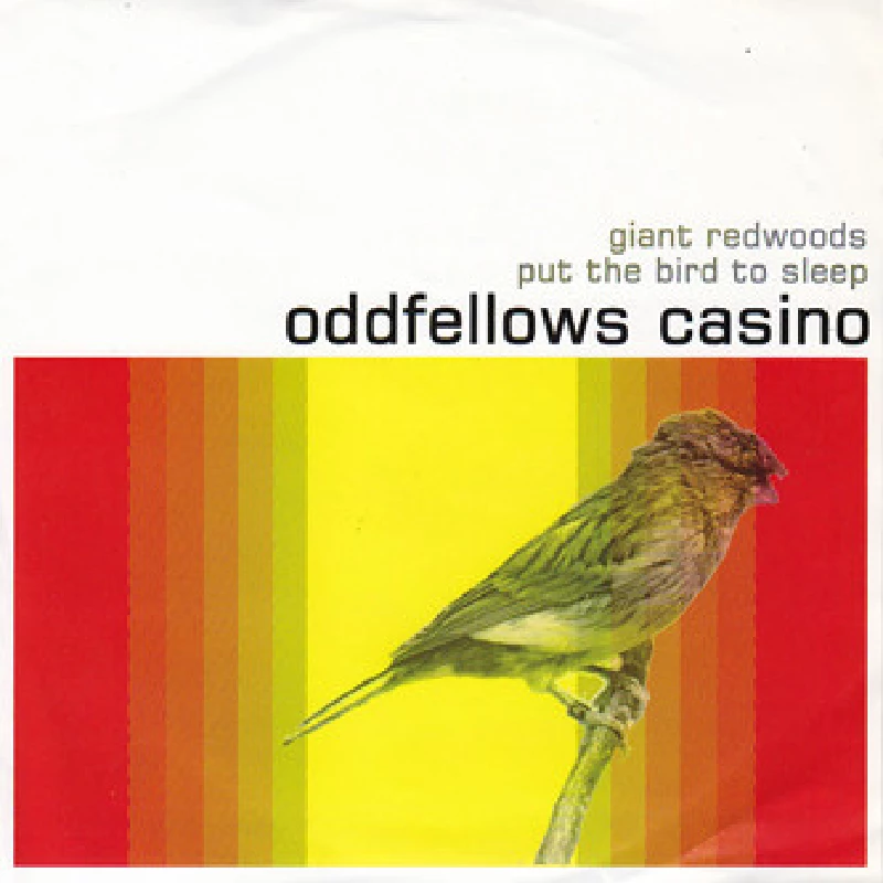 Oddfellows Casino - Giant Redwoods