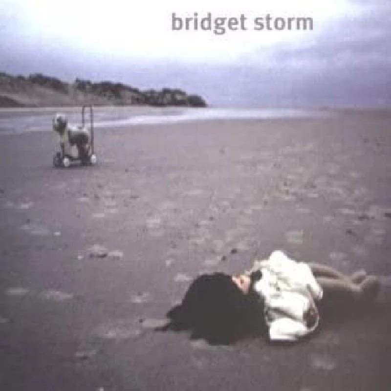 Bridget Storm - Here's What's Left