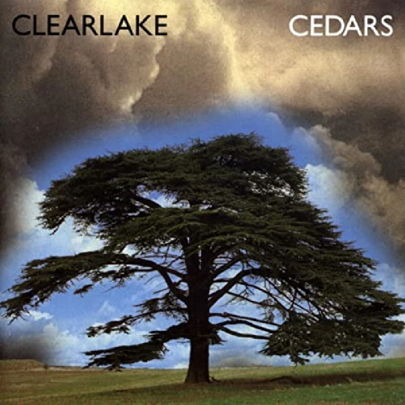 Clearlake - Cedars