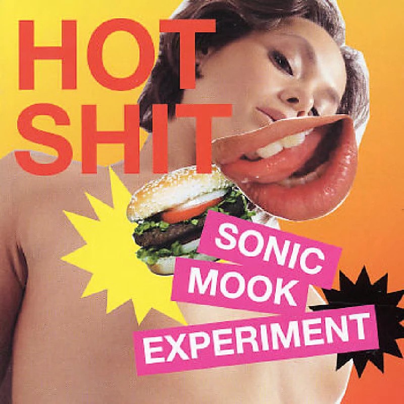 Various - Sonic Mook Experiment 3: Hot Shit