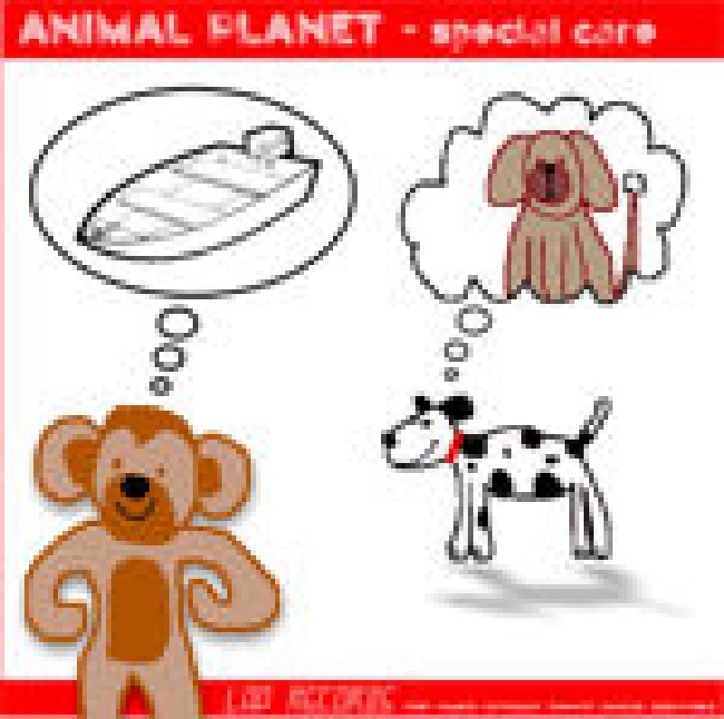 Animal Planet - Special Care
