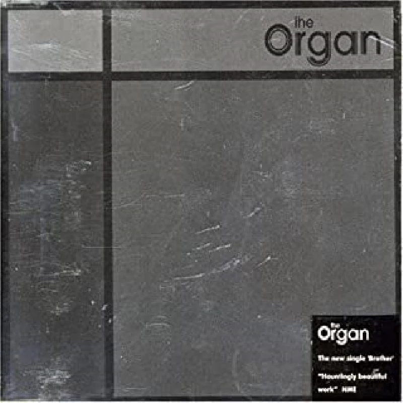 Organ - Brother