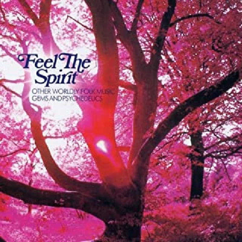 Various - Feel The Spirit (Other Worldly Folk Music Gems And Psychedelics)