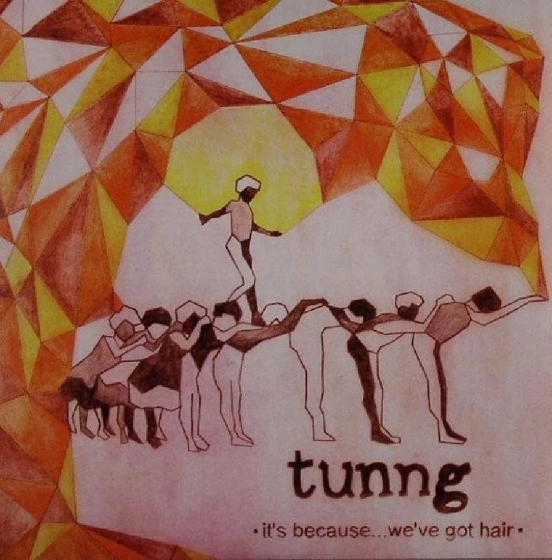 Tunng - It's Because... We've Got Hair