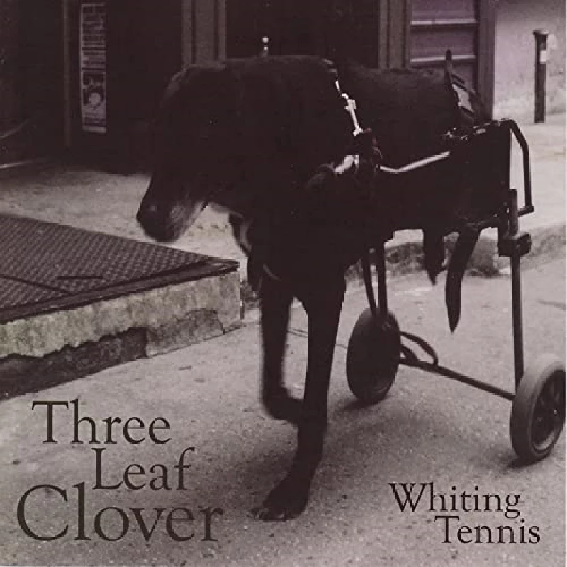 Whiting Tennis - Three Leaf Clover