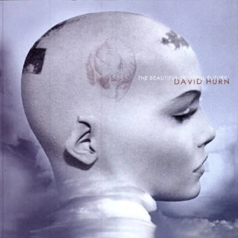 David Hurn - The Beautiful Trustful Future
