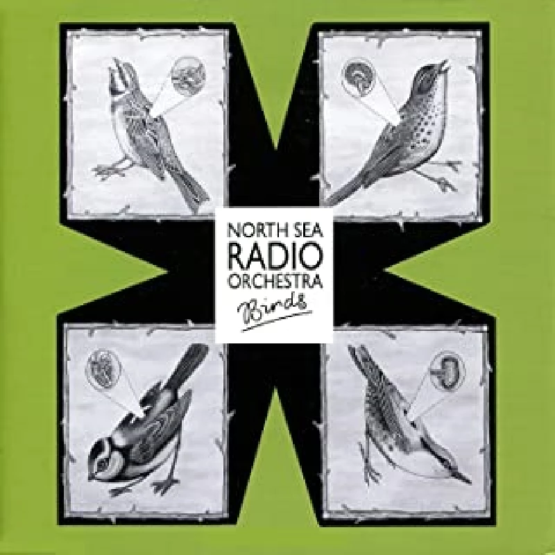 North Sea Radio Orchestra - Birds