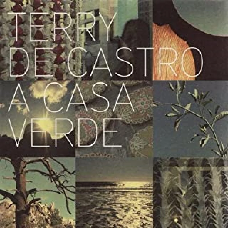 Terry de Castro - A Casa Verde