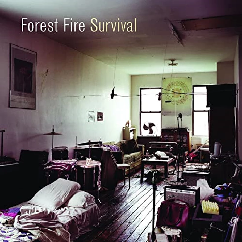 Forest Fire - Survival