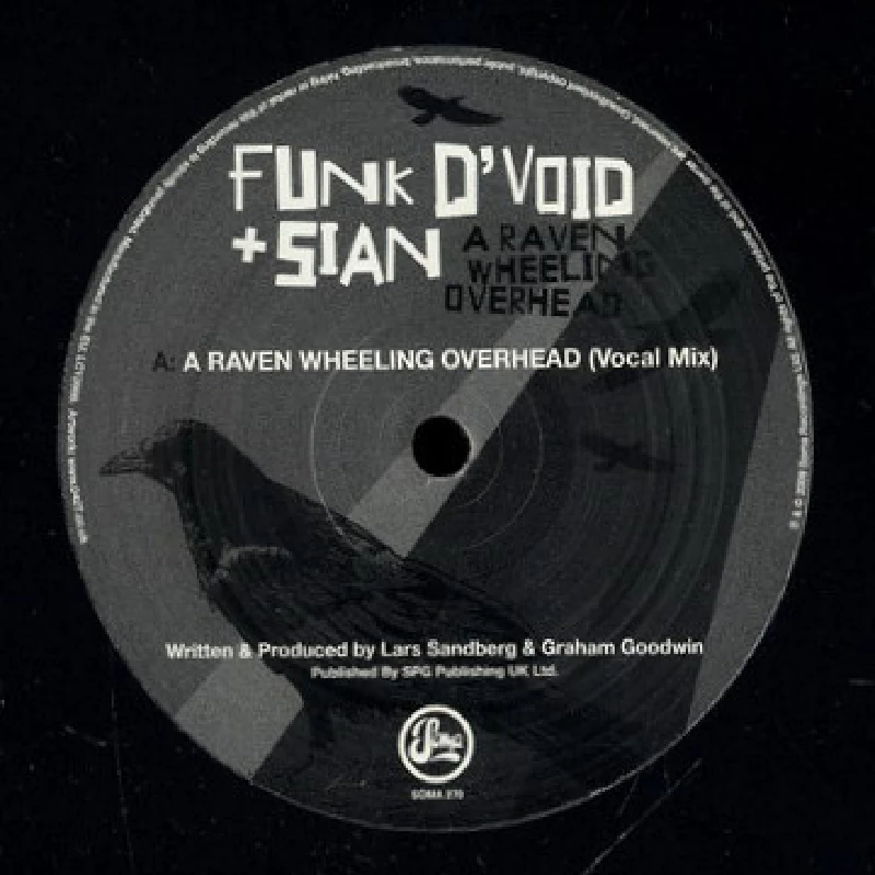 Funk D'Void and Sian - A Raven Wheeling Overhead