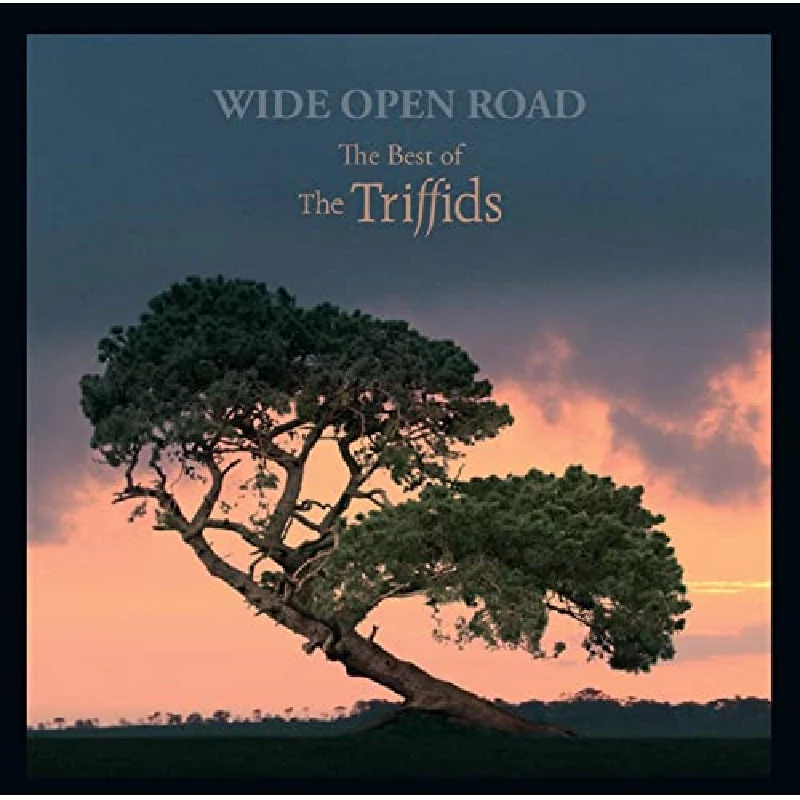 Triffids - Wide Open Road: The Best of the Triffids
