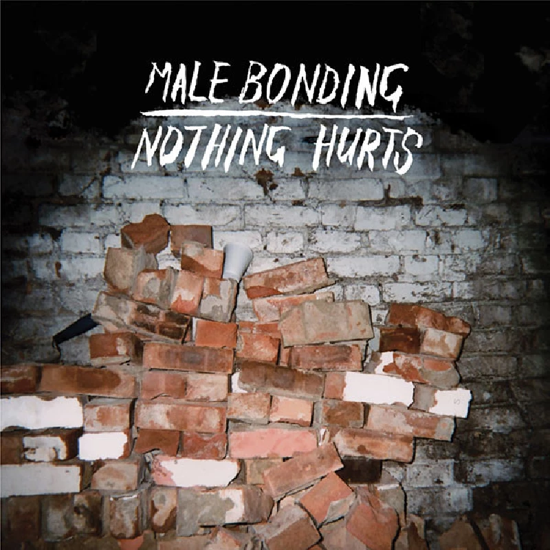 Male Bonding - Nothing Hurts