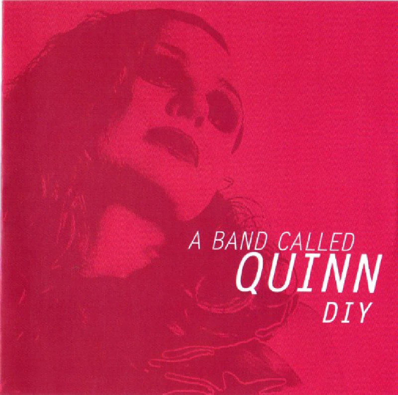 A Band Called Quinn - DIY