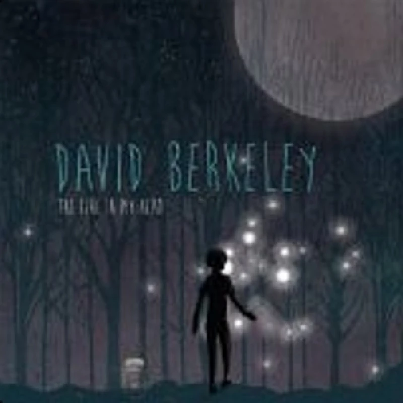 David Berkeley - The Fire in My Head