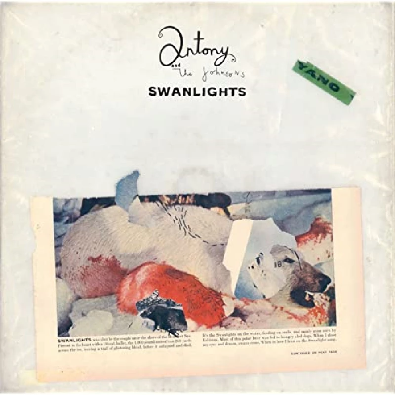 Antony And The Johnsons - Swanlights