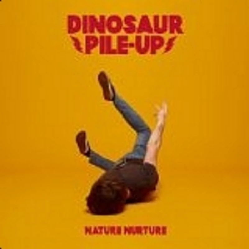 Dinosaur Pile-Up - Nature Nurture