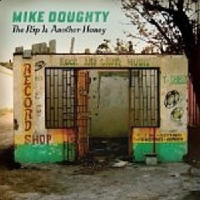 Mike Doughty - The Flip is Another Honey