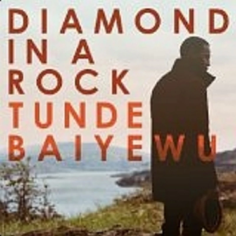 Tunde Baiyewu - Diamond in a Rock