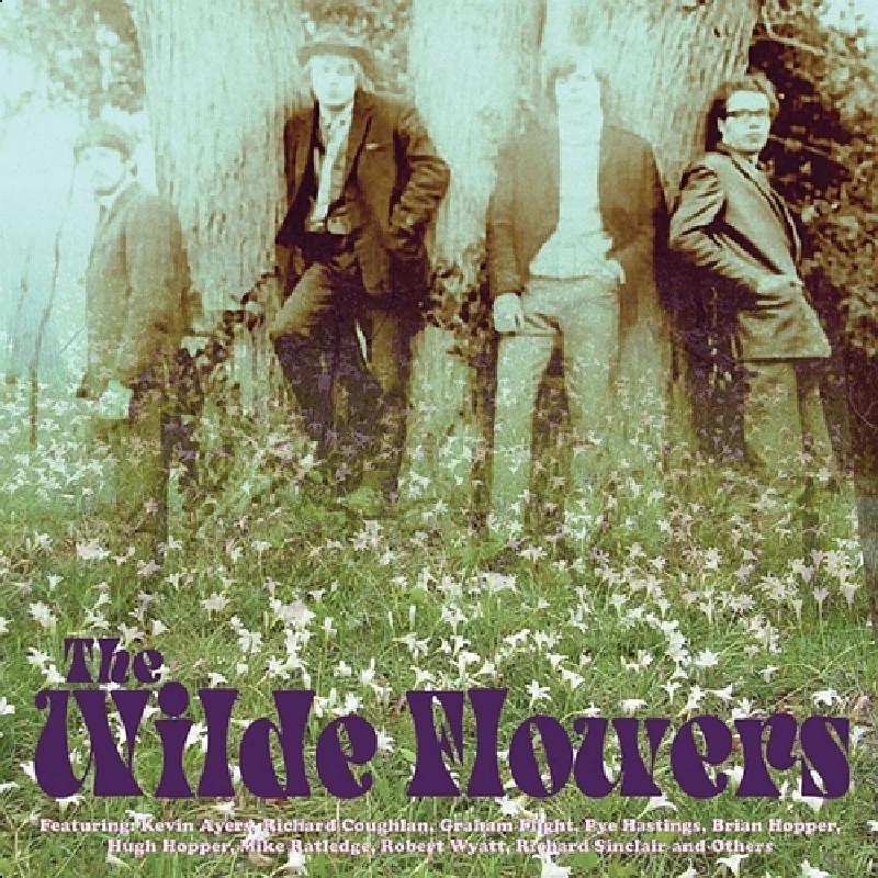 Wilde Flowers - Wilde Flowers