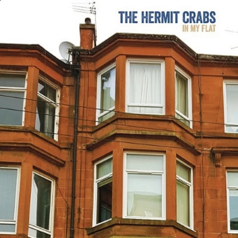 Hermit Crabs - In My Flat